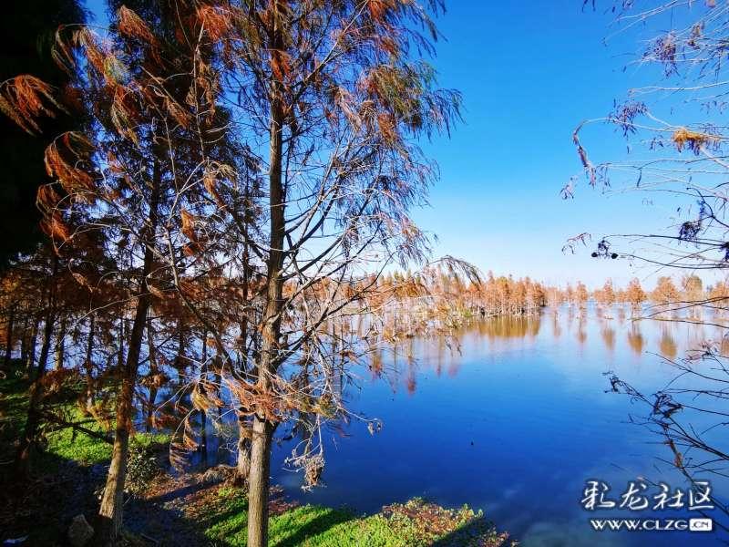 幻想纹章2.1