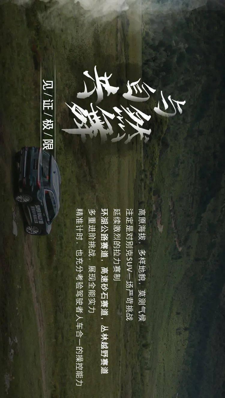 飞扬的方块鸟