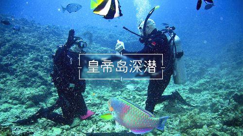 ”见行见效 津彩绽放”活动参赛作品:天行健,君子以自强不息