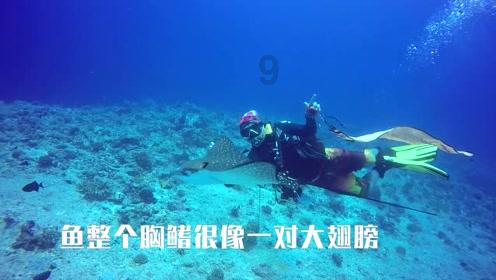 沈阳市苏家屯区：以学促干推动主题教育见行见效