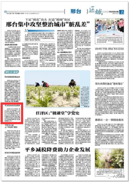 苏菲亚的婚纱